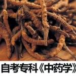 自考专科《中药学》